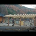 Le roi de la tronçonneuse !