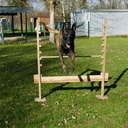 Obstacle pour toutou sportif !