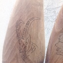 2 spatule bouquetin / hiboux