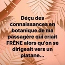 L'Air du Bois