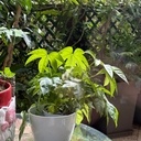 Recherche bonne volonté sur Courbevoie (92)