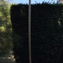 Longboard paulownia hollow