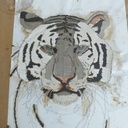 Montage sur cale Tigre Blanc marqueterie