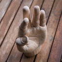 Main d'or et coeur de bois