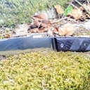 Les deux font la paire !