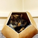 Niche dodécaèdre pour chat