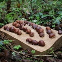 Support à châtaignes