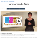 Anatomie du Bois