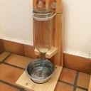 Bistrot "happy hour" pour chat-soifé