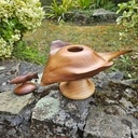 Une raie et son poisson pilote en boite