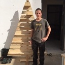 Un p'tit lapin dans un bois d'sapin...