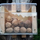 Distrinoix pour écureuils