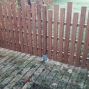 Clôture à créneau