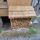 Abri bois de chauffage