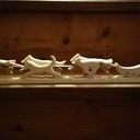 Attelage chiens de traineaux