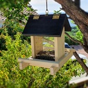 Mangeoire oiseaux en pins et plexiglass