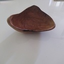 Coupe au broussin de Châtaignier