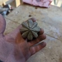 Presse Agrume en noyer