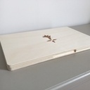 Ichalk (un ordi-tableau noir)