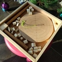 Jeu d'équilibre bomboléo