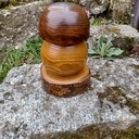 Champignon