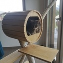 Arbre à chat, il y a du bouleau...