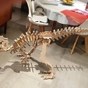 Dinosaure