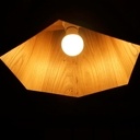 Abat jour hexagonal en orme