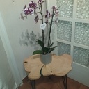 Console en épicéa avec coulée de résine