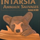 Médaillon tête ours