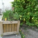 Bac pour plantes aromatiques