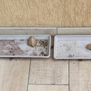 Au besoin, prévoir des bacs à déjections...