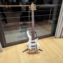 Guitare Basse 5 cordes