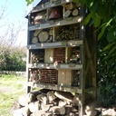 Hôtel à insectes et à hérisson