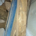 Petit oiseau dans son nid