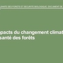 Les impacts du changement climatique sur la santé des forêts