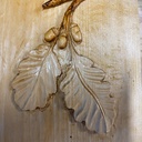Les deux feuilles et les trois glands ...!