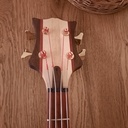 Guitare Basse