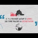 Il y a toujours autant d'arbres sur Terre malgré la déforestation | Data science vs Fake