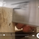 Queues d'arondes à la main