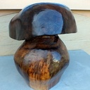 Bolétus non comestible