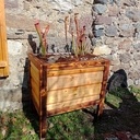 Jardinière pour mangeuse de mouche