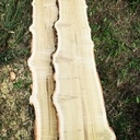 Plateau acacia et frêne