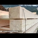 Reportage  de 2 minutes sur la filière bois