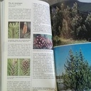 Livre de reconnaissance des arbres