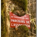 Arbres gloutons
