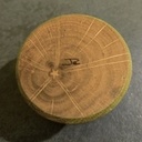 Coquetier à l'étoile médullaire