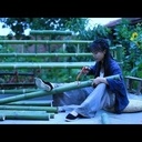 Mobilier en bambou fraîchement coupé