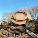 Ubuntu, "Je suis car nous sommes"