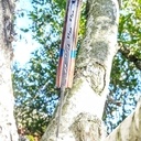 Commande d'un couteau pour Noël